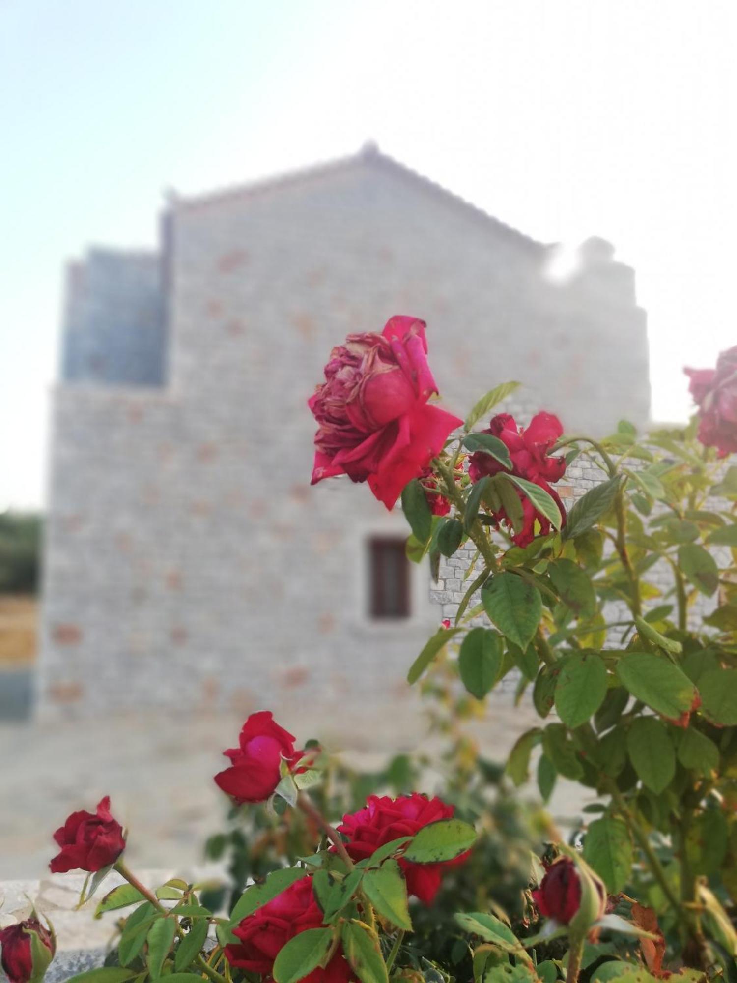 Athevillas Antonis Μίνα Εξωτερικό φωτογραφία